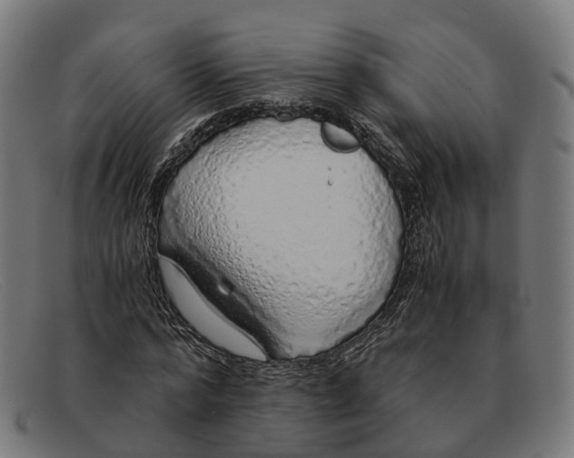 X0000091490776200709131829