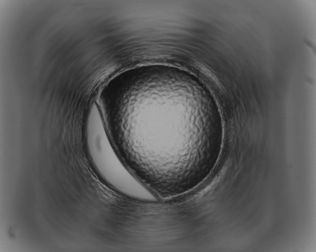 X0000091490777200709131829