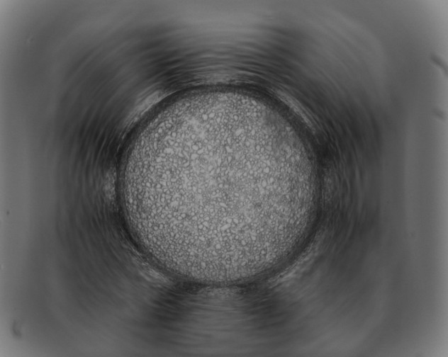 X0000091490778200709131829
