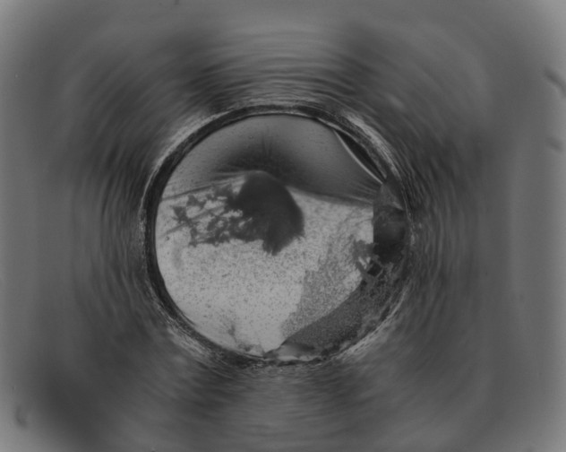X0000091490779200709131829