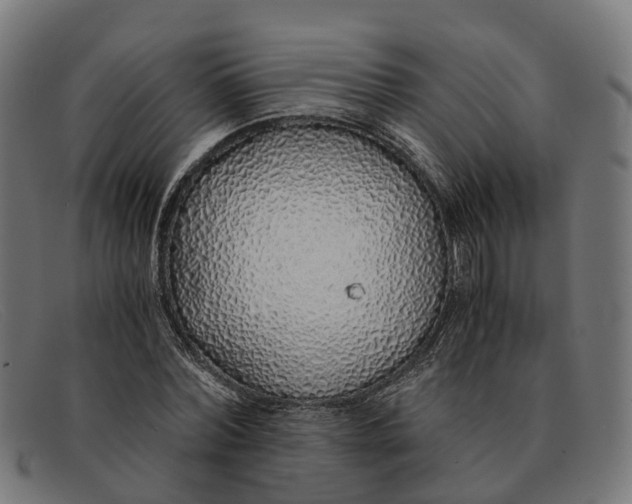 X0000091490780200709131829