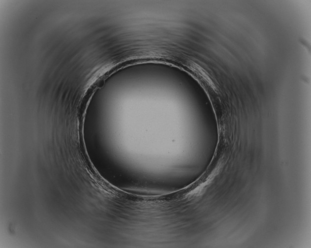 X0000091490781200709131829