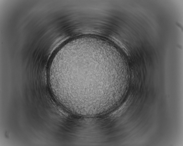 X0000091490782200709131829