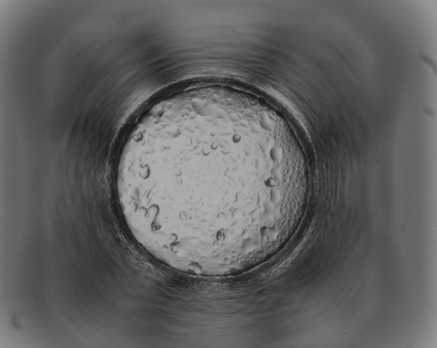 X0000091490783200709131829