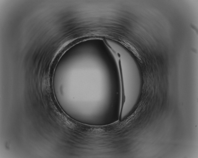 X0000091490784200709131829