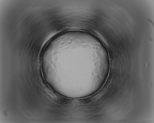 X0000091490787200709131829
