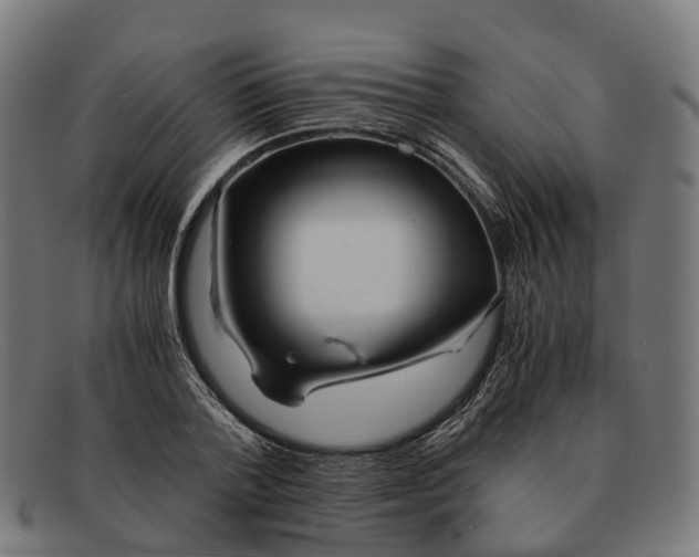 X0000091490788200709131829