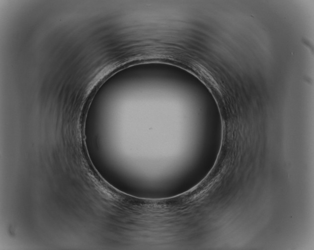 X0000091490789200709131829