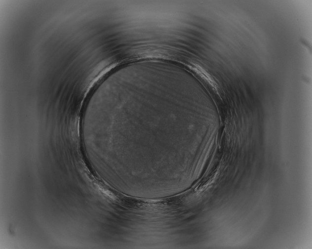 X0000091490790200709131829
