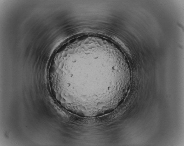 X0000091490791200709131829