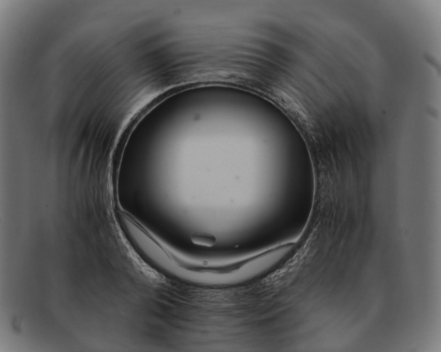 X0000091490792200709131829
