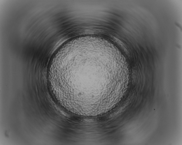 X0000091490794200709131829