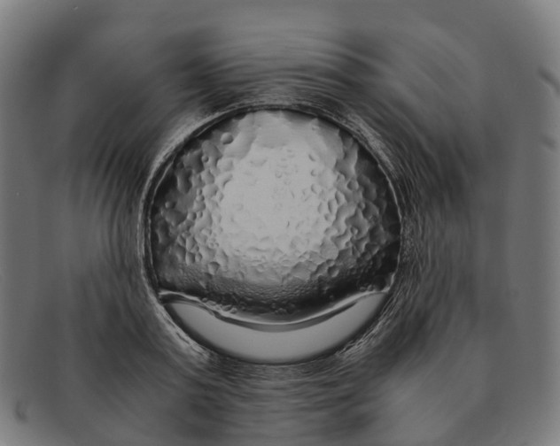 X0000091490795200709131829