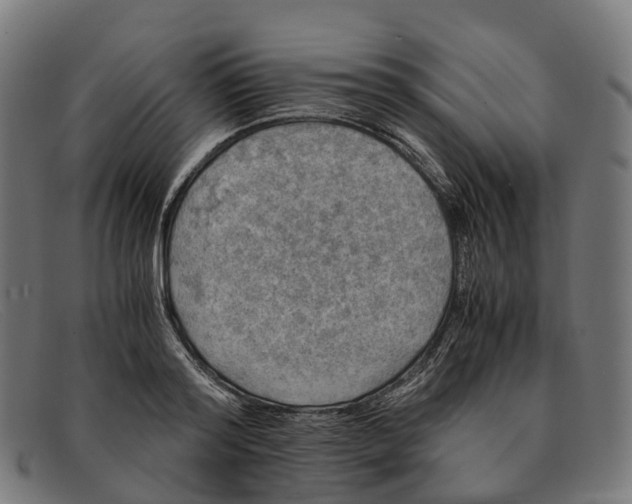 X0000091490796200709131829