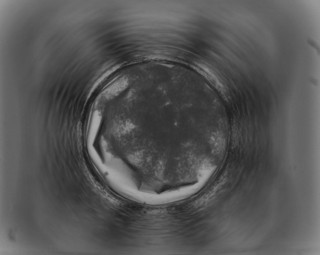 X0000091490798200709131829