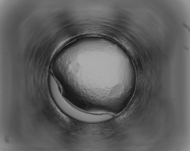 X0000091490799200709131829