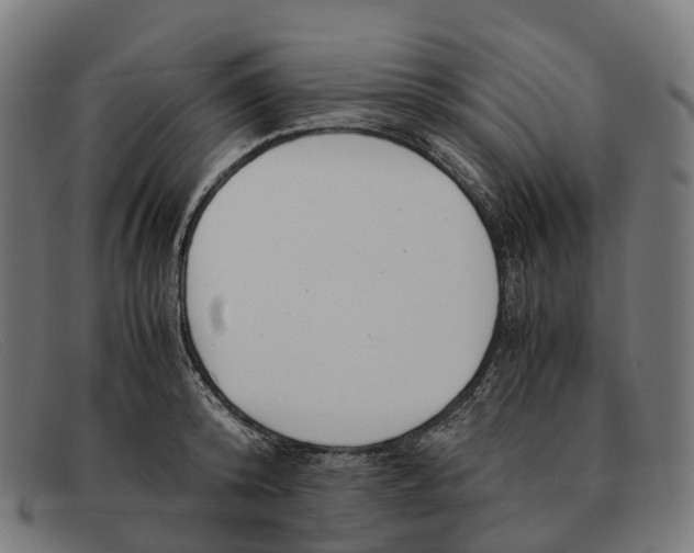 X0000091490800200709131829