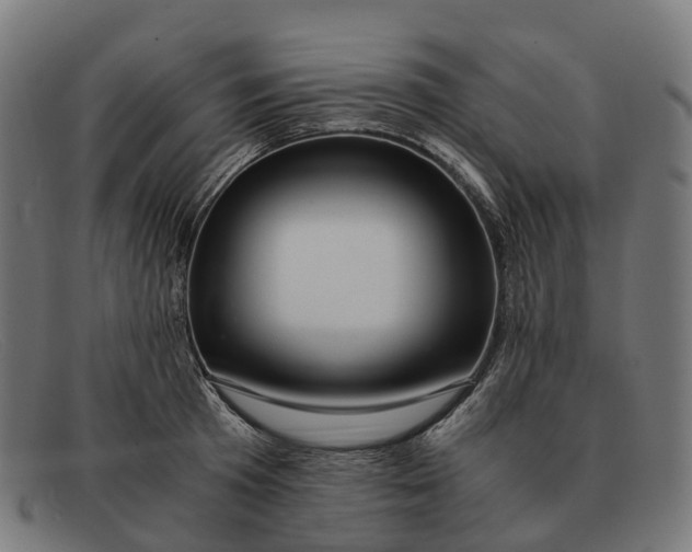 X0000091490801200709131829