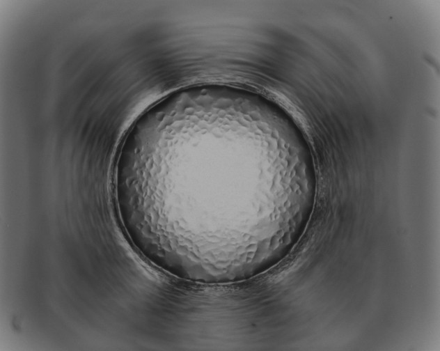 X0000091490803200709131829