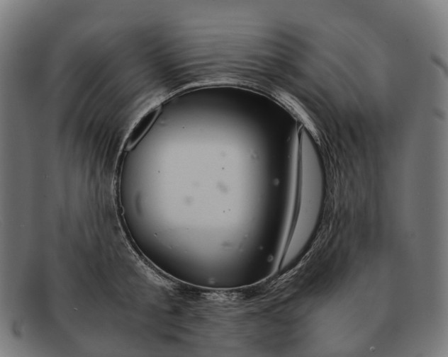 X0000091490805200709131829