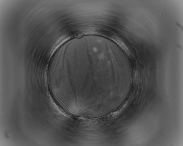 X0000091490806200709131829