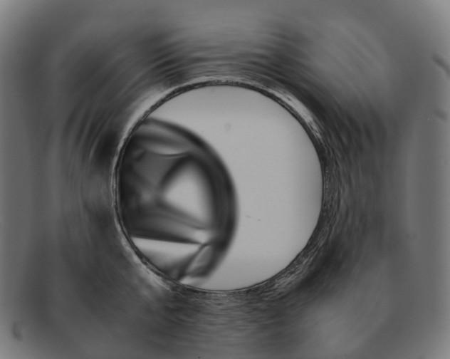 X0000091490807200709131829