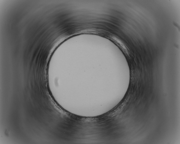 X0000091490808200709131829