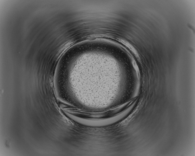 X0000091490809200709131829