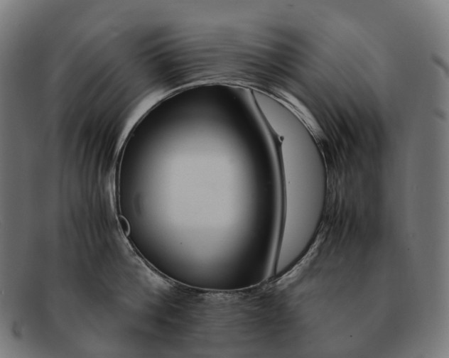 X0000091490812200709131829