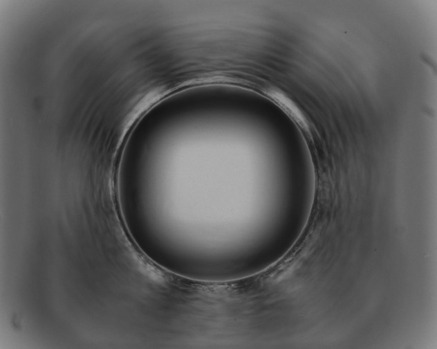 X0000091490813200709131829
