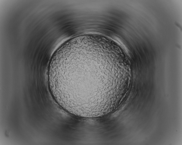 X0000091490814200709131829