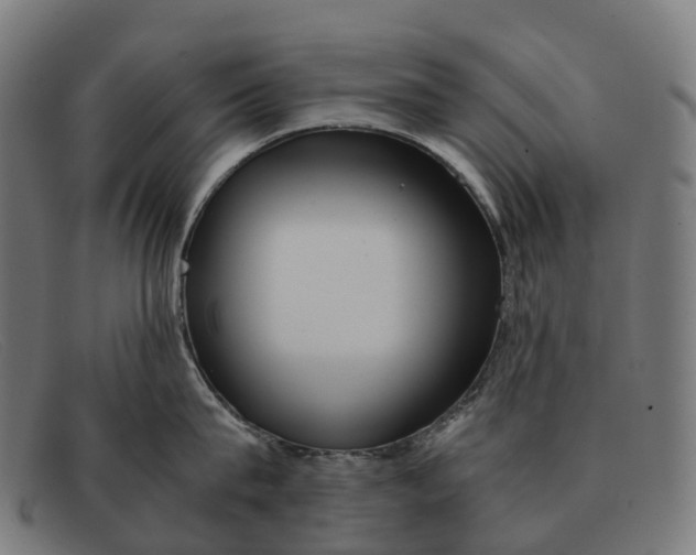 X0000091490815200709131829