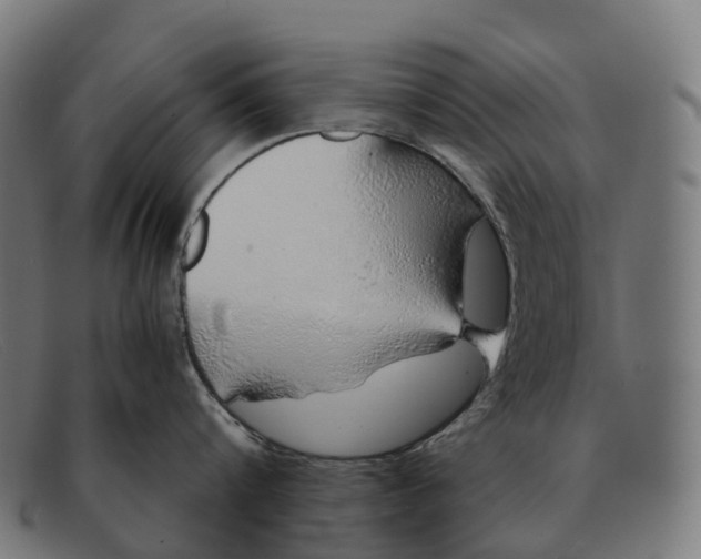 X0000091490816200709131829
