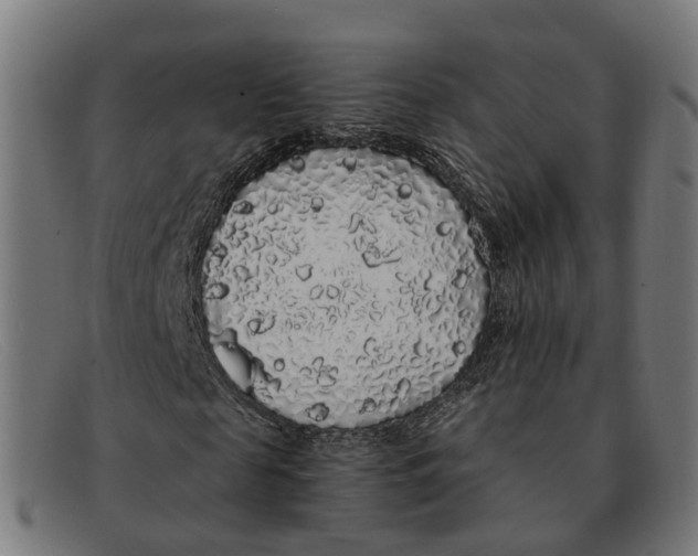 X0000091490817200709131828