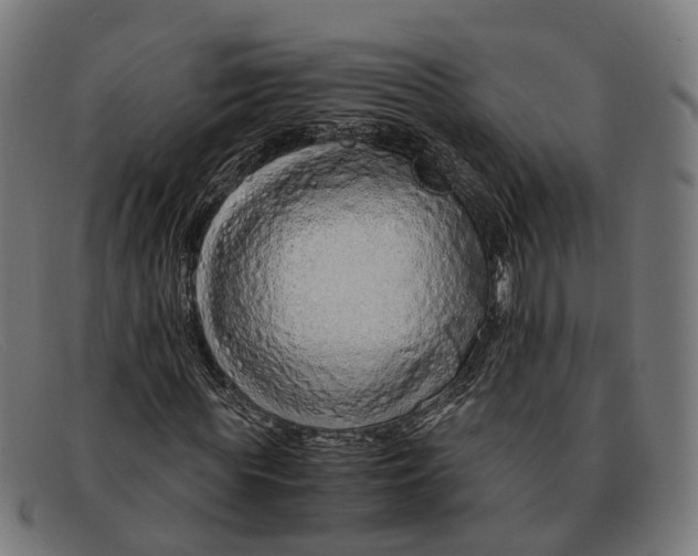 X0000091490819200709131828