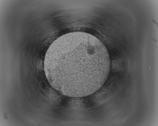 X0000091490820200709131828
