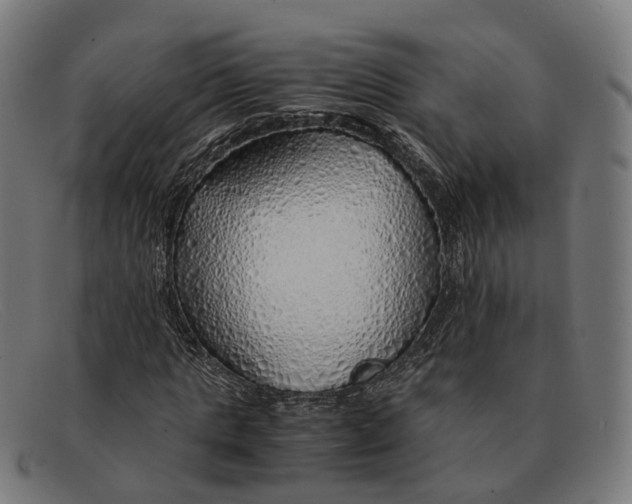 X0000091490821200709131829