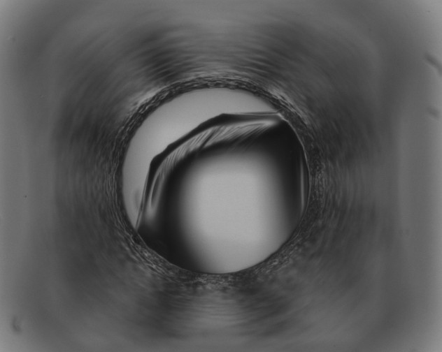 X0000091490822200709131829