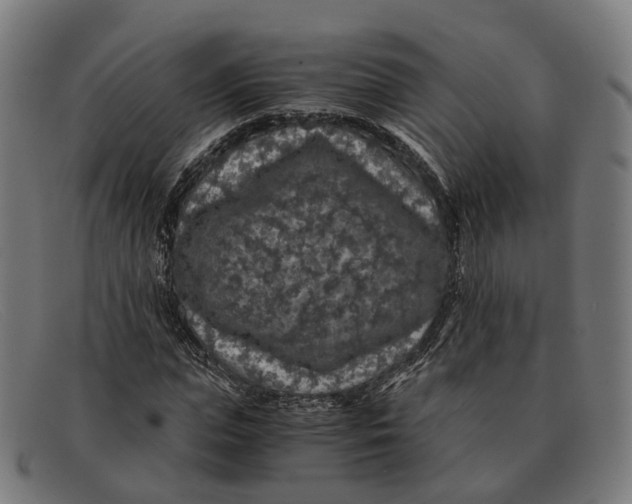 X0000091490823200709131829