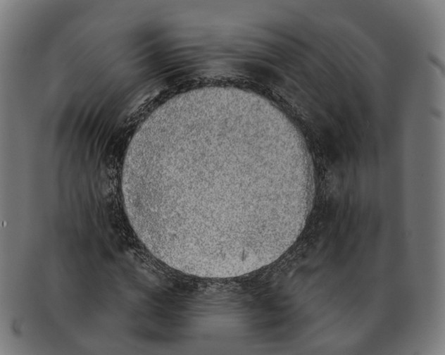 X0000091490824200709131829