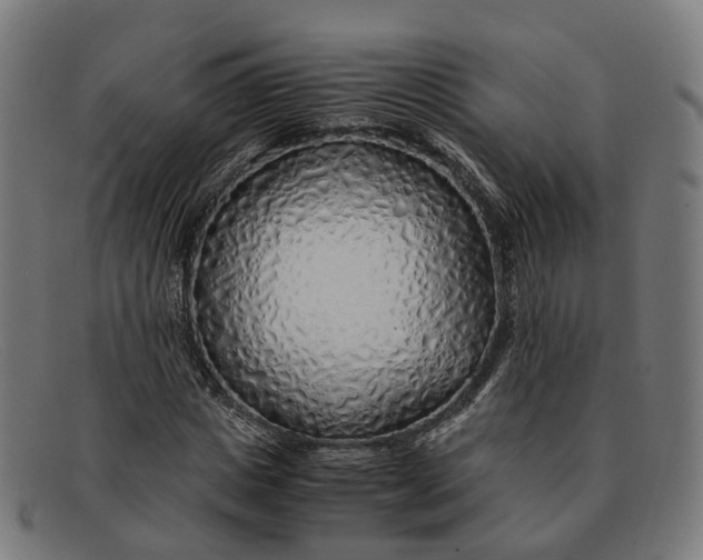 X0000091490825200709131829