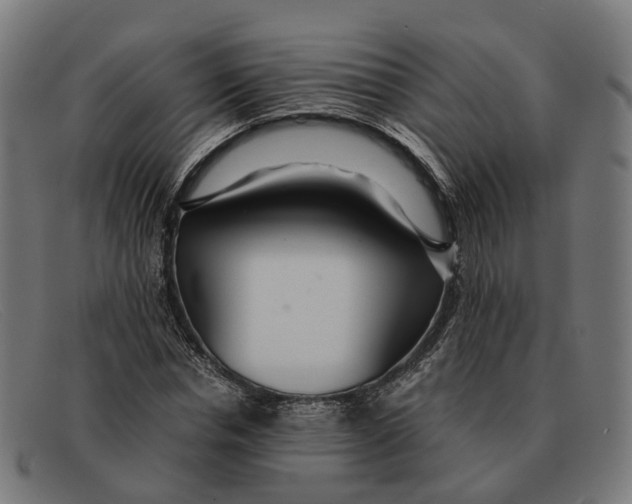 X0000091490826200709131829