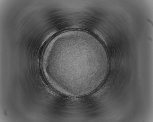 X0000091490827200709131829