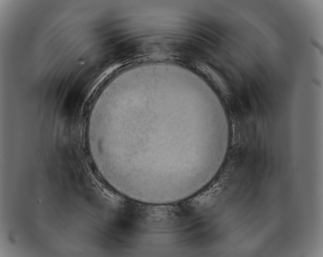 X0000091490828200709131829