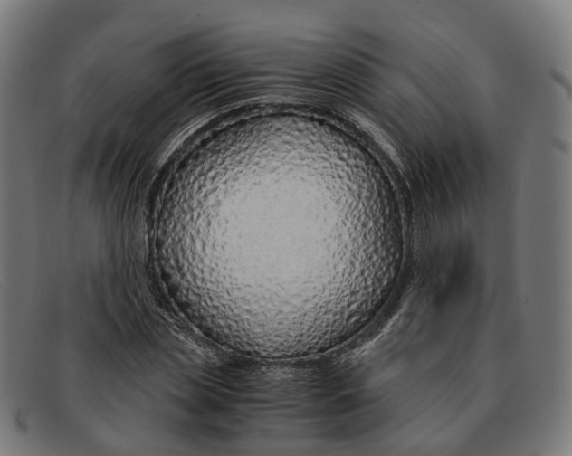 X0000091490829200709131829