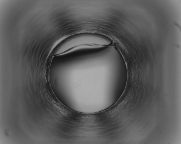 X0000091490830200709131829