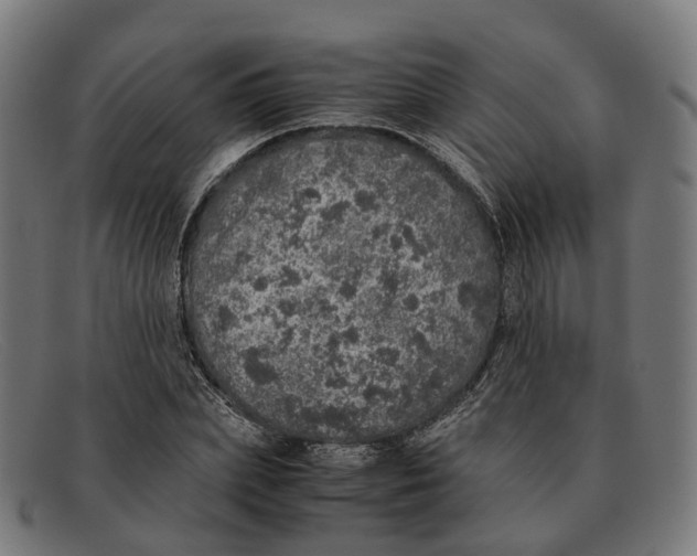 X0000091490831200709131829