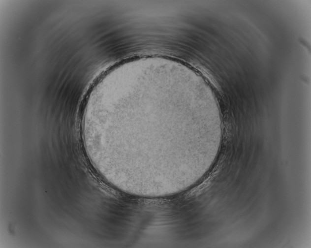 X0000091490832200709131829