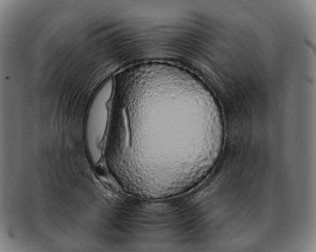 X0000091490833200709131829