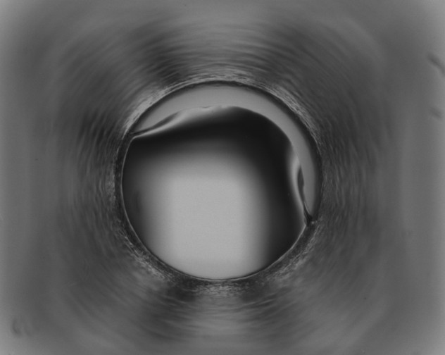 X0000091490834200709131829